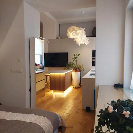 Loft Del Talvera 2 아파트 *